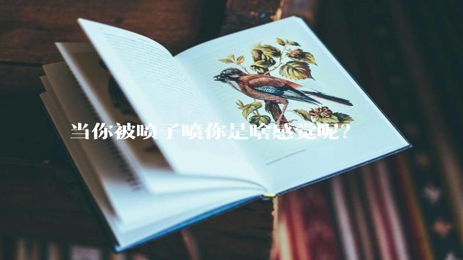 当你被喷子喷你是啥感觉呢？