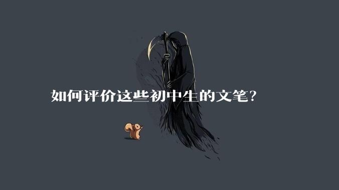 如何评价这些初中生的文笔？