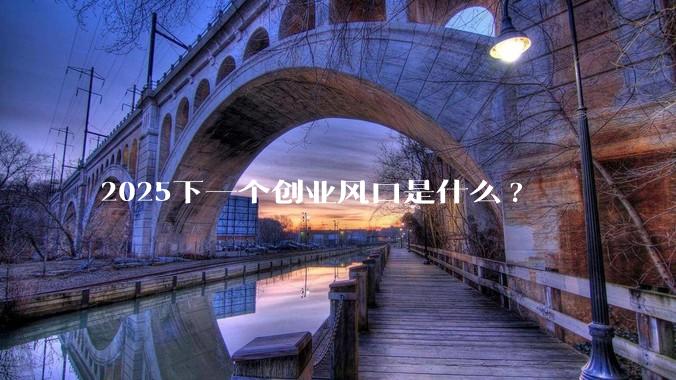 2025下一个创业风口是什么?